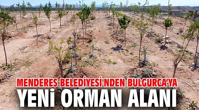 Menderes Belediyesi'nden Bulgurca’ya Yeni Orman Alanı