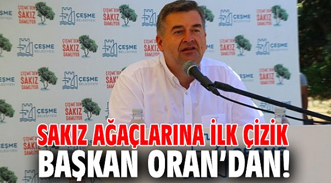 Sakız ağaçlarına ilk çizik Başkan Oran’dan!