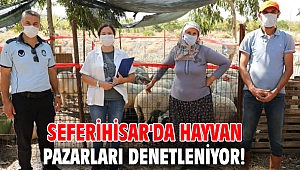 Seferihisar'da Hayvan Pazarları denetleniyor!