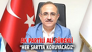 AK Partili Ali Sürekli, 
