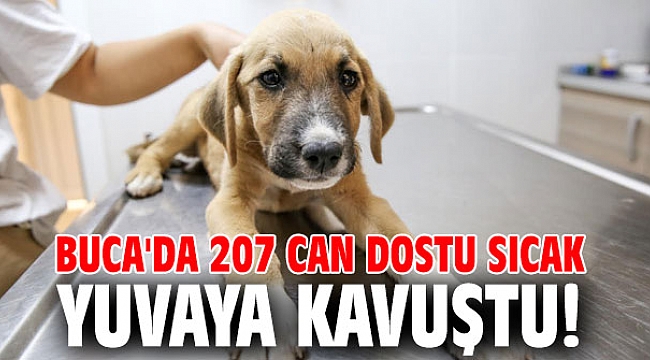 Buca'da 207 can dostu sıcak yuvaya kavuştu!
