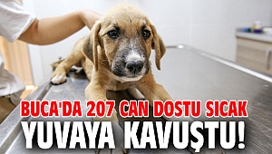 Buca'da 207 can dostu sıcak yuvaya kavuştu!