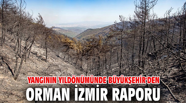 Büyükşehir’den Orman İzmir raporu