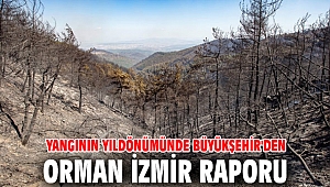 Büyükşehir’den Orman İzmir raporu