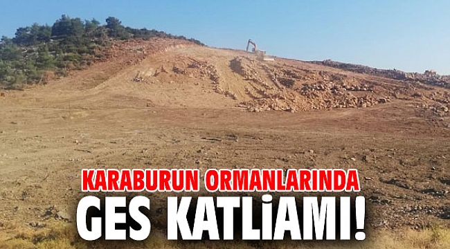 Karaburun ormanlarında Güneş Enerji Santralleri katliamı!