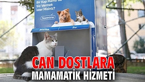 Konak'ta Can Dostlara MamaMatik hizmeti
