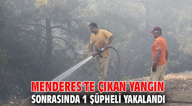 Menderes'te çıkan yangınla ilgili 1 şüpheli yakalandı