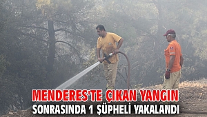 Menderes'te çıkan yangınla ilgili 1 şüpheli yakalandı