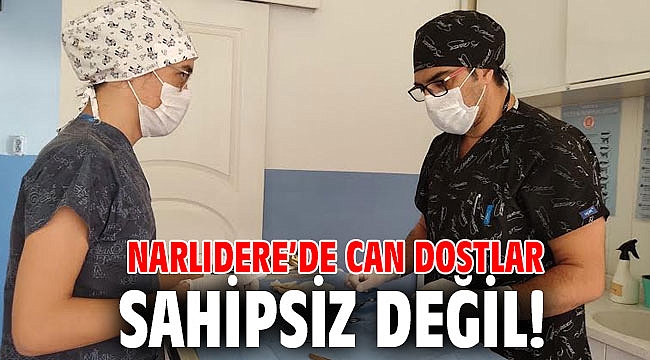 Narlıdere’de can dostlar sahipsiz değil!