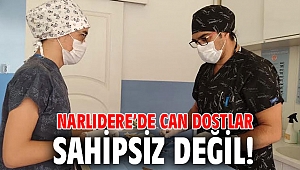 Narlıdere’de can dostlar sahipsiz değil! 