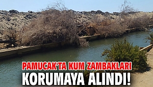 Pamucak'ta Kum Zambakları korumaya alındı!