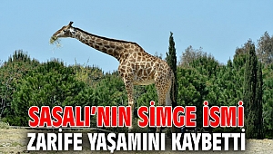 Sasalı’nın simge ismi Zarife hayatını kaybetti