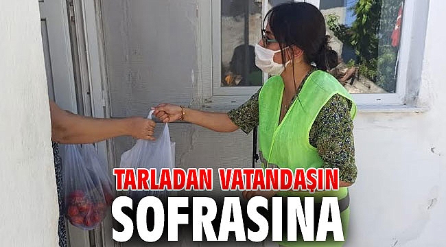 Tarladan vatandaşın sofrasına