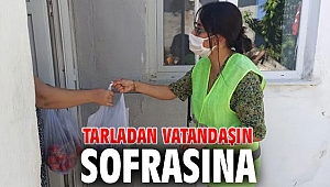 Tarladan vatandaşın sofrasına