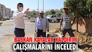 Başkan Kayalar, Çalışmaları İnceledi
