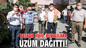 Başkan Kılıç, Bucalılara üzüm dağıttı!
