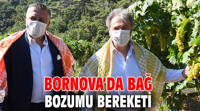 Bornova’da bağ bozumu bereketi