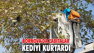 Bornova'da zabıtalar kediyi kurtardı