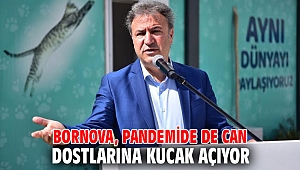 Bornova, pandemide de can dostlarına kucak açıyor 