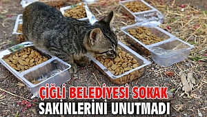 Çiğli Belediyesi'nden Sokak hayvanlarına destek!