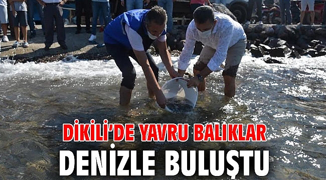 Dikili’de Yavru Balıklar Denizle Buluştu