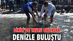 Dikili’de Yavru Balıklar Denizle Buluştu