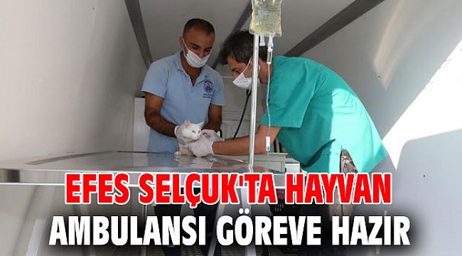 Efes Selçuk'ta hayvan ambulansı göreve hazır