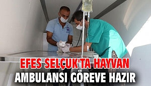 Efes Selçuk'ta hayvan ambulansı göreve hazır