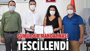 Gümüldür Mandalinası Tescillendi