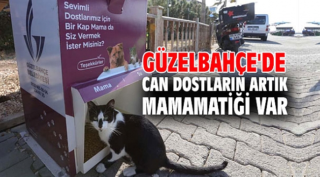 Güzelbahçe'de Can Dostların Artık Mamamatiği Var