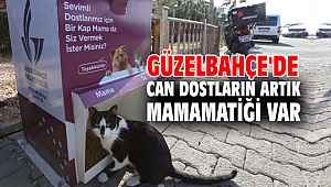 Güzelbahçe'de Can Dostların Artık Mamamatiği Var