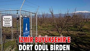 İzmir Büyükşehir'e dört ödül birden