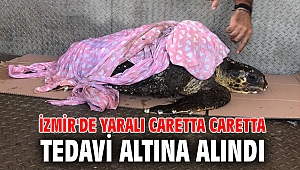 İzmir'de yaralı caretta caretta tedavi altına alındı