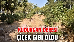 Kudurgan Deresi çiçek gibi oldu
