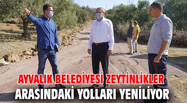 Ayvalık Belediyesi zeytinlikler arasındaki yolları yeniliyor