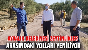 Ayvalık Belediyesi zeytinlikler arasındaki yolları yeniliyor