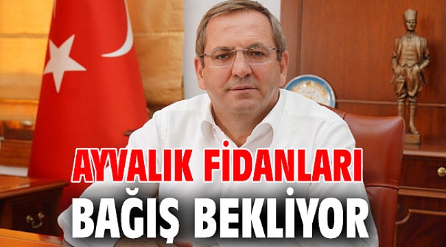 Ayvalık fidanları bağış bekliyor