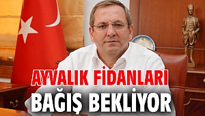 Ayvalık fidanları bağış bekliyor