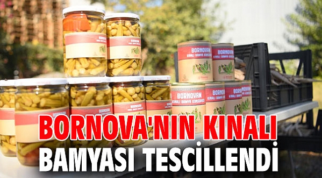 Bornova'nın Kınalı Bamyası tescillendi