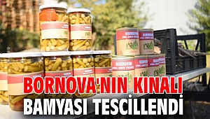 Bornova'nın Kınalı Bamyası tescillendi