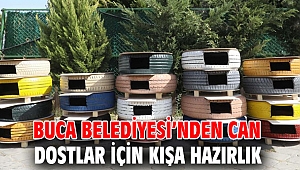 Buca Belediyesi’nden can dostlar için kışa hazırlık 