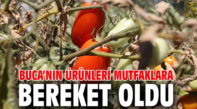 Buca’nın ürünleri mutfaklara bereket oldu