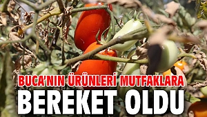 Buca’nın ürünleri mutfaklara bereket oldu 