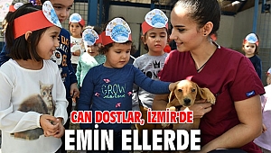 Can dostlar, İzmir'de emin ellerde