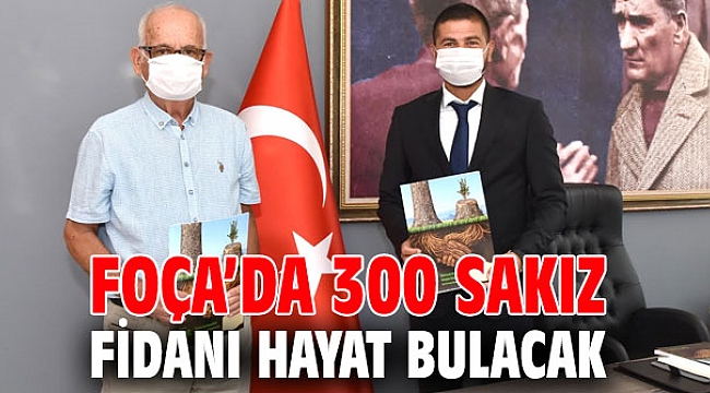 Foça’da 300 sakız fidanı hayat bulacak