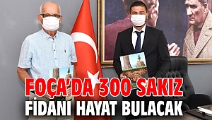 Foça’da 300 sakız fidanı hayat bulacak