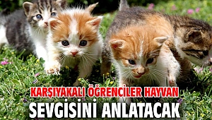 Karşıyakalı öğrenciler hayvan sevgisini anlatacak