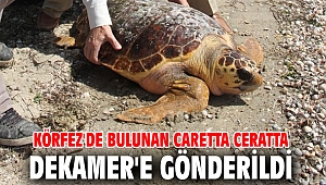Körfez'de bulundu! DEKAMER'e gönderildi