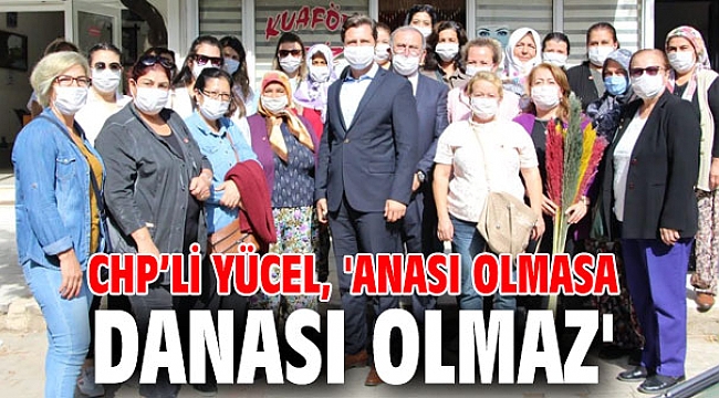Yücel, 'Anası olmasa danası olmaz'