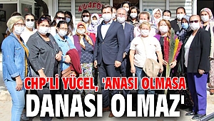 Yücel, 'Anası olmasa danası olmaz'